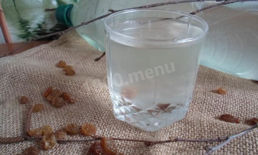 Рецепт квас из березового сока без дрожжей