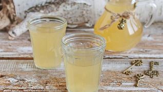 Квас из березового сока с изюмом коричневым сахаром и хлебом