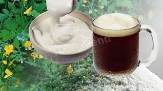 Квас из чистотела