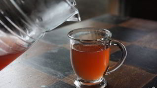 Квас из гриба