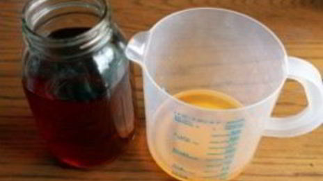 квас из гриба