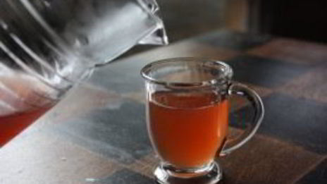 квас из гриба