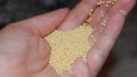 квас из хрена и меда