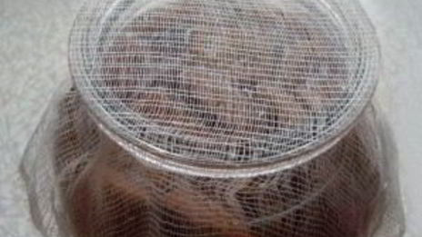 квас из квасного сусла