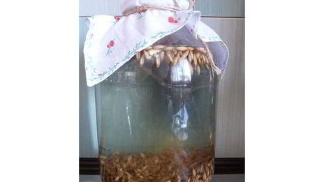 квас из овса летний