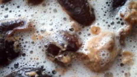 квас из пшеницы