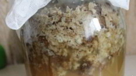 квас из ржаного хлеба