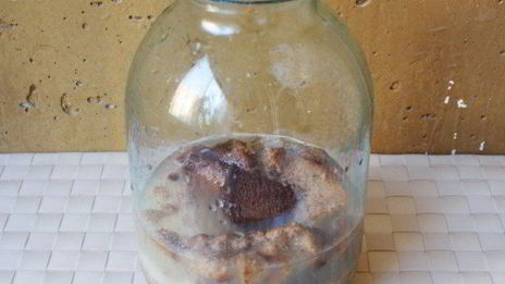 квас хлебный