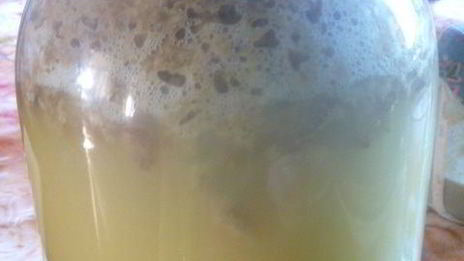 квас на ржаной закваске