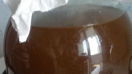 квас на солоде