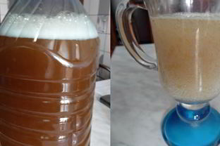 Квас за 2 часа