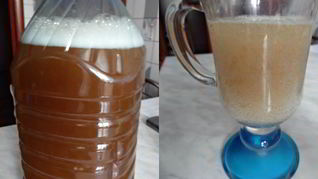 Квас за 2 часа