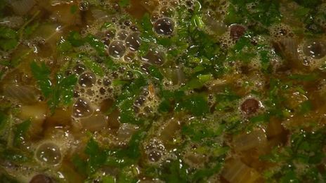 жур с квасом