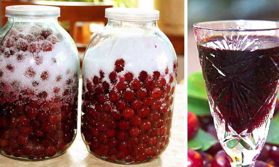 Рецепт вишневый ликер