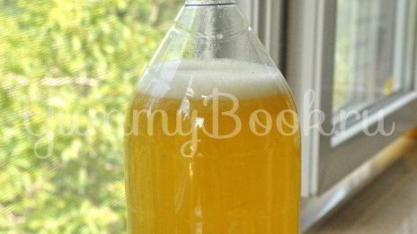 имбирный лимонад с медом