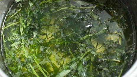 лимонад из грейпфрута и тархуна