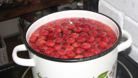 лимонад первая вишня