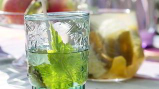 Лимонад с листьями смородины и мяты