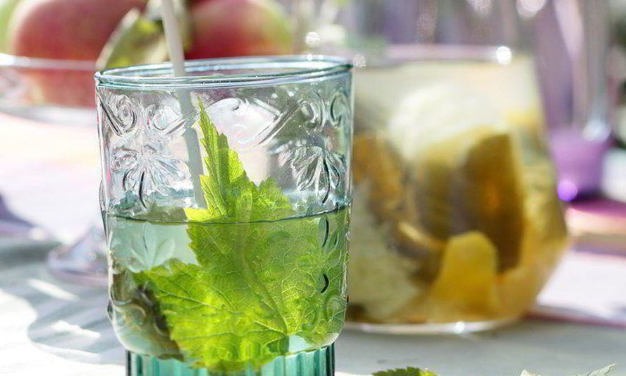 Рецепт лимонад с листьями смородины и мяты