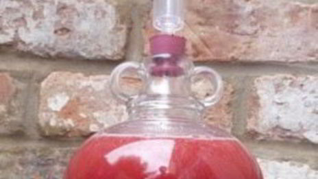 малиновое вино