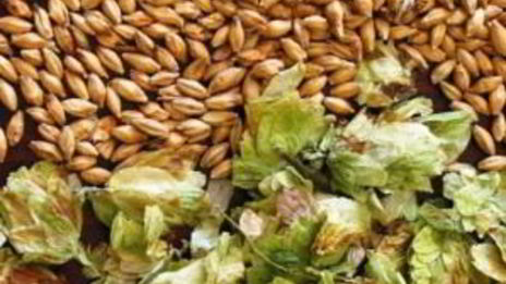 медовое пиво