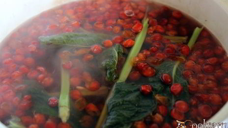 калиновый морс с мятой