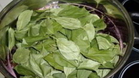 наливка из черноплодной рябины