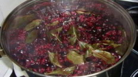 наливка из черноплодной рябины