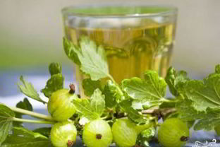 Наливка из крыжовника