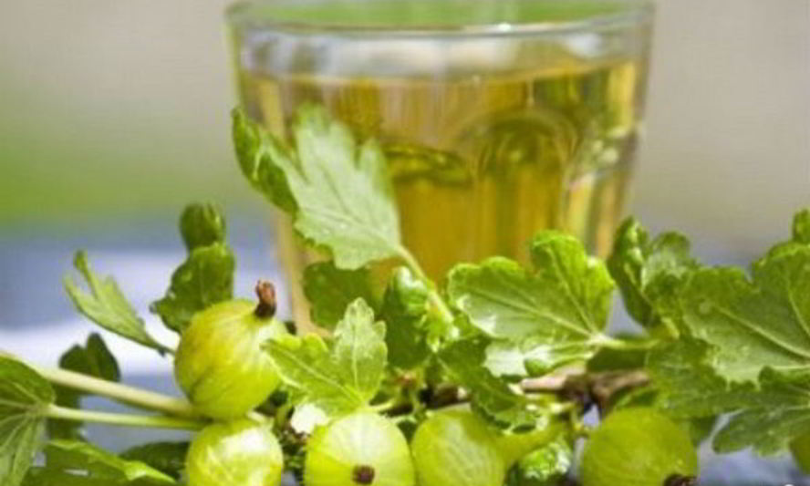 Рецепт наливка из крыжовника