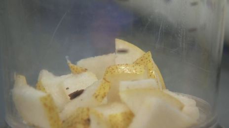 ризотто из овсянки с грибами и овсяный смузи с грушей