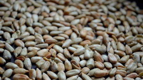 смузи зеленое