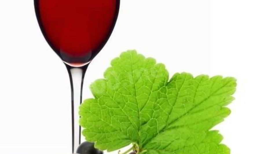 Рецепт вино из черной смородины с сахаром