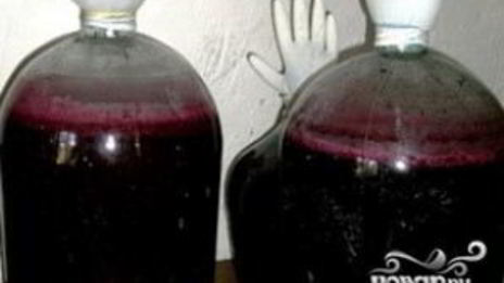 вино из черной смородины