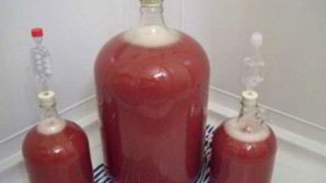 вино из черноплодки