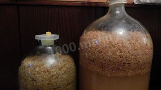 Вино из сушек яблок