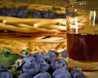 Вино из терна без дрожжей