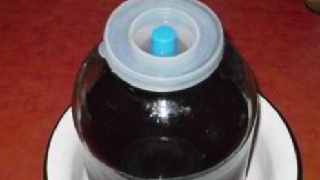 вино из ягод