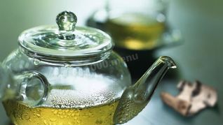 Заваренная кора березы