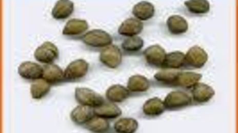 деревенский салат по-шведски