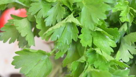 теплый картофельный салат с красным луком и оливками