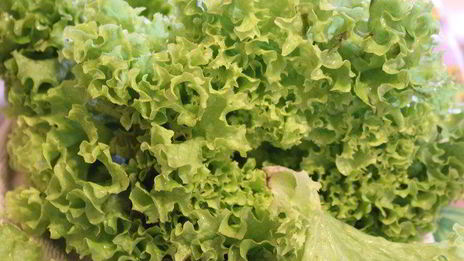 салат из маринованной запеченной свеклы с фетой