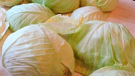 голубцы под шубой