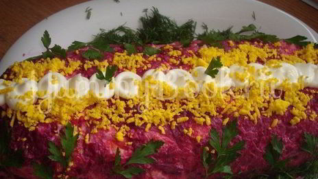 закуска селедка под шубой