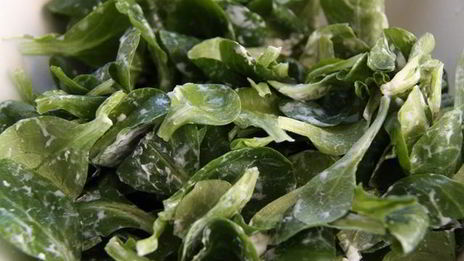 салат с козьим сыром, жареными цитрусами и орешками