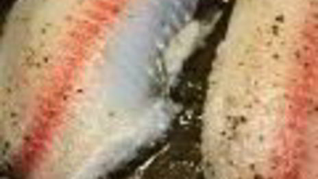 салат цезарь морской