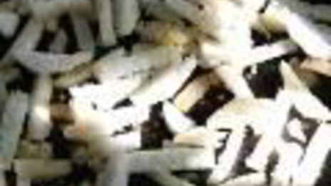 салат цезарь морской