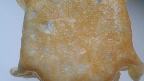 салат весенний в сырной корзинке