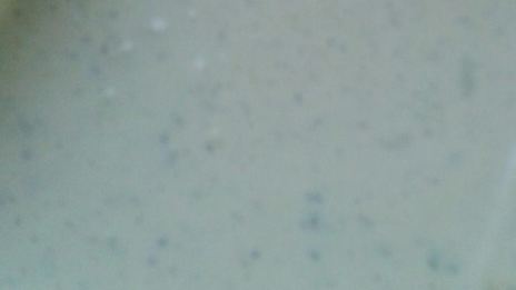 салат весенний в сырной корзинке