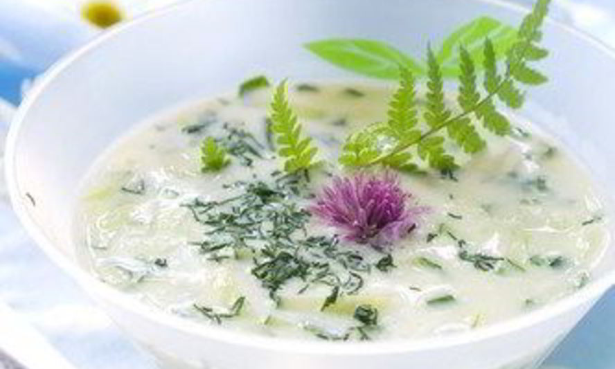 Рецепт соус из огурцов с зеленью и чесноком дзадзики